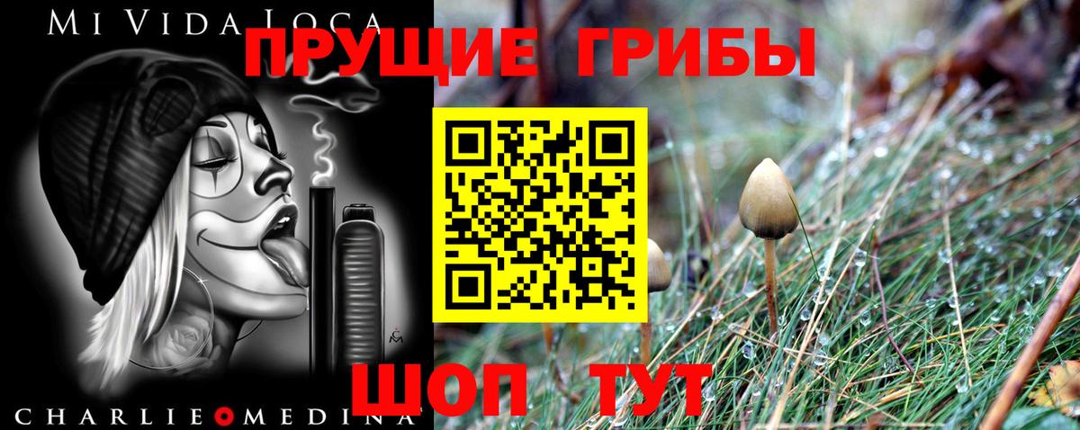 Псилоцибиновые грибы Cubensis  как найти закладки  Усть-Илимск  Вход с VPN 
